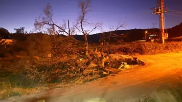 Mersin'de Şiddetli Rüzgar Zarara Yol Açtı