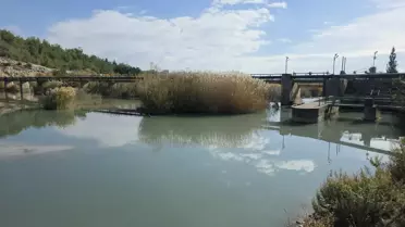 Göksu Nehri'nde Kirlilik Sorunu