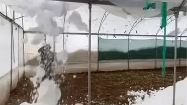 Siirt'te Kar Yağışı Seraları ve Camiyi Vurdu