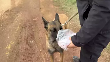 Elif Kumal'ı Bulmak İçin 7. Gün