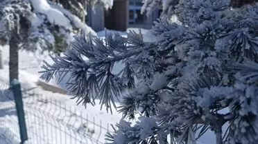 Yeşilyurt'ta Dondurucu Soğuk Etkili