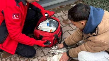 Mudanya'da Martı Kurtarıldı