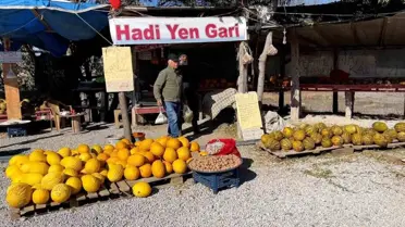 Araştırmacı Kavuncu: Halit Tekin'in Tohum Koruma Çabası