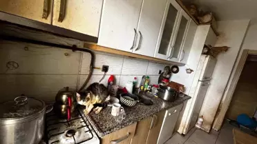 Kapı açılınca karşılaşılan manzara şoke etti