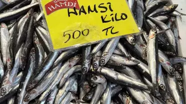 Kocaeli'de Balık Miktarı Azaldı