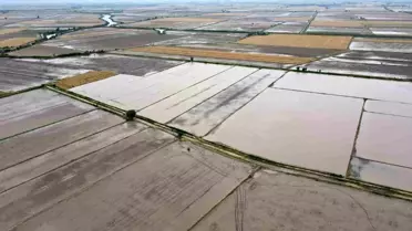 Söke'de 2026 ÇKS Ürün Beyanları Açıklandı