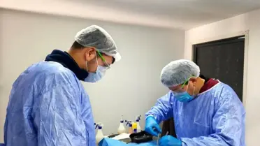 Germencik Belediyesi sokak hayvanları için kısırlaştırma çalışmalarını sürdürüyor