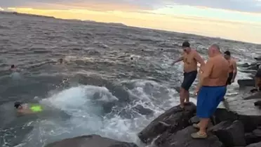 Sarayburnu Balinaları Denizle Buluştı