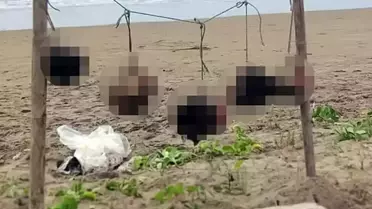 Ülkede şok etkisi yaratan görüntü: İpe asılı 5 insan kafası bulundu