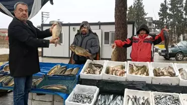 Fırat Nehri Balıklarına Yoğun İlgi