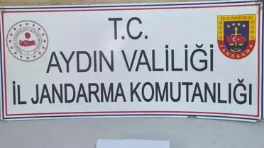 Aydın'da Tarihi Eser Kaçakçılığı Operasyonu