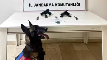 Erciş'te Ruhsatsız Tabanca Ele Geçirildi