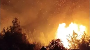 Serik'te Orman Yangını