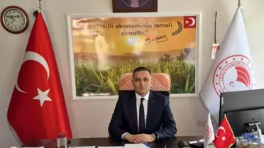 Dinar'da Çiftçilere Hibeli Ayçiçeği Tohumu Desteği