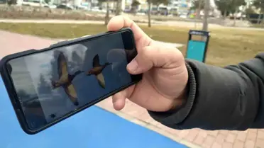 Beyşehir Gölü: Kuş Cenneti