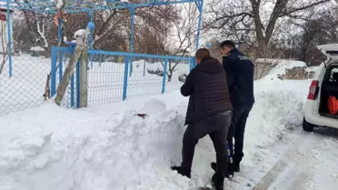 Bünyan'da sokak hayvanlarına mama desteği