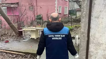 Beykoz'da ele geçirilen 204 kasa balık ihtiyaç sahiplerine dağıtıldı