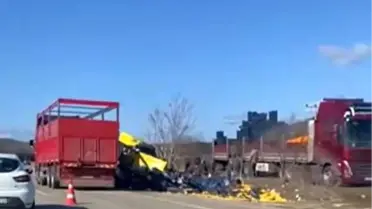 Çavdır'da Limon Yüklü Tır Devrildi