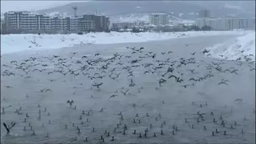 Sivas'ta Karabatak Ziyareti