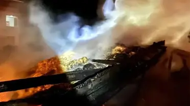 Sinop'ta samanlık yangını