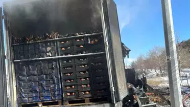 Adana'da Tır Yangını: Narenciye Yüklü Araç Alevlere Teslim Oldu