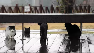 Antalya'da Şiddetli Yağış Hayatı Olumsuz Etkiliyor