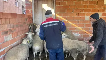 İpsala Kaymakamı İbriktepe'yi Ziyaret Etti