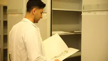 Siirt'te 2000 Bitki Örneği Teşhis Edilecek