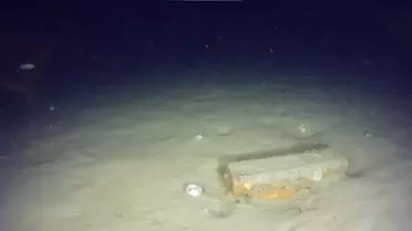 THY'nin 50 yıl önce düşen uçağının enkazından yeni parçalar bulundu