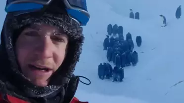 Vahşi yaşam ekibinden belgesel tarihine geçecek müdahale! Sosyal medya ikiye bölündü