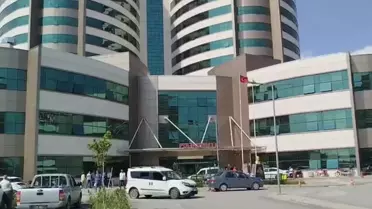 Mersin'de Köpek Saldırısı: 2 Yaşındaki Hasan Ağır Yaralı