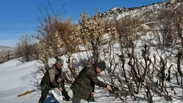 Gercüş'te Kuşlar İçin Yem Bırakıldı
