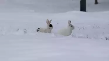 Elazığ'da Kar Manzaraları