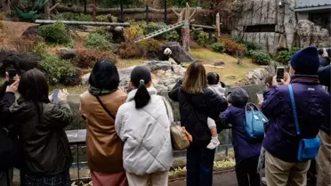 Japonya Son Pandalarını Uğurladı