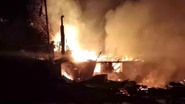 Ordu'da evini ateşe veren şahıs ağaçta asılı halde bulundu