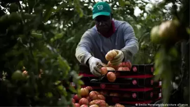 İspanya'dan Belgesiz Göçmenlere Oturma İzni