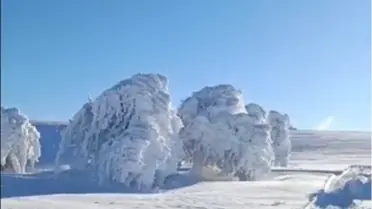 Mudurnu'da Ağaçlar Buz Tutmuş durumda