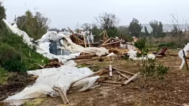 Manavgat'ta Hortum Felaketi: Ağaçlar ve Seralar Zarar Gördü