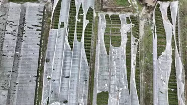 Muğla'da Hortum Seralara Zarar Verdi