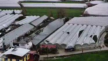 Seydikemer'de hortum, fırtına ve dolu seraları vurdu
