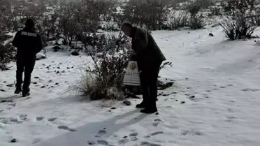 Hasankeyf'te Yaban Hayvanları İçin Yem Bırakıldı