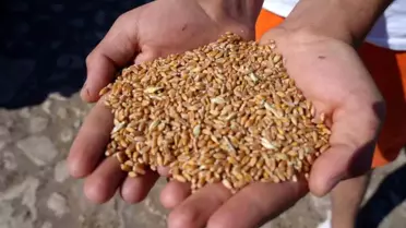 Bayburt'ta Yem Desteği Projesi