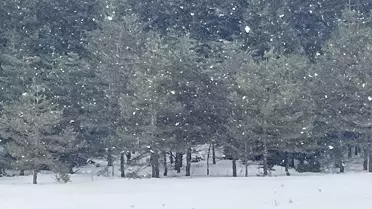 Bolu Yaylalarında Kar Yağışı Başladı