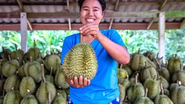 Wuhan ile Bangkok Arasında Yeni Hava Kargo Rotası