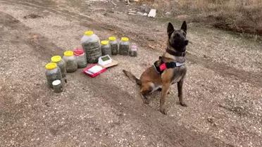 Karaman'da Uyuşturucu Operasyonu