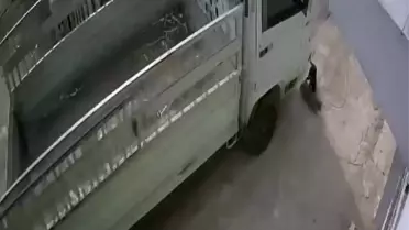 Adana'da Kedi Ezme Olayı