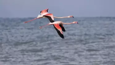 Mumbai değil Kastamonu! Vatandaşlar hemen telefona sarıldı