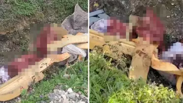 Sakarya'da çalılık alana hayvan kemiği attığı tespit edilen 2 şüpheli yakalandı