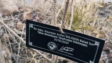 Talas Belediyesi'nden geleceğe nefes: Her bebek için bir fidan