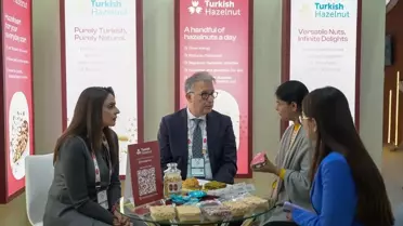 Türk Fındığı'nın Hindistan İhracatı %180 Arttı